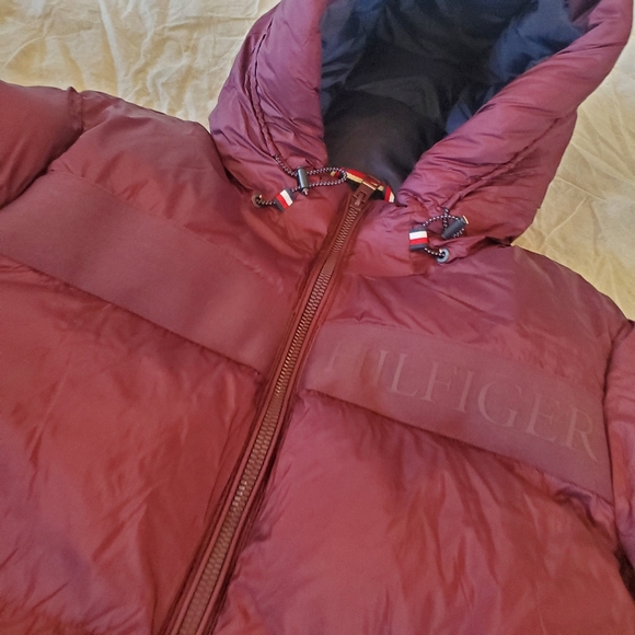 Jacket - Picture 9 of 16